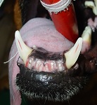 Abrasion Feb 2008-01