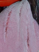 Hair On Dogs Tongue March 2008-02